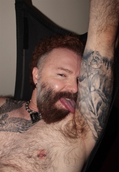 Ginger Daddy Pit Sniffer