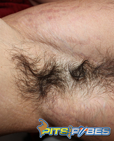 Hairy Muscle Stud